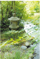 緑あふれる静寂な茶室で 茶事の心にふれるひととき