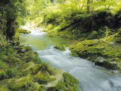 平成の名水百選　阿多古川　Atago-River<